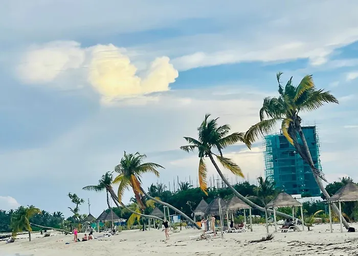 La Isla Tropica