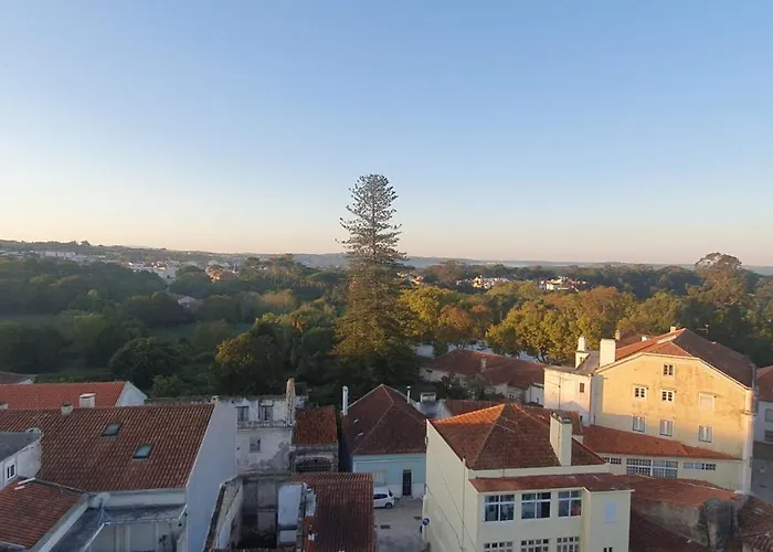 Caldas Da Rainha'S Green & Brown