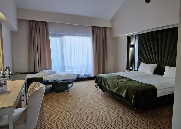 Hotel Wolf 2