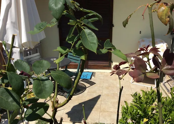 Affitto Appartamento Sul Mare