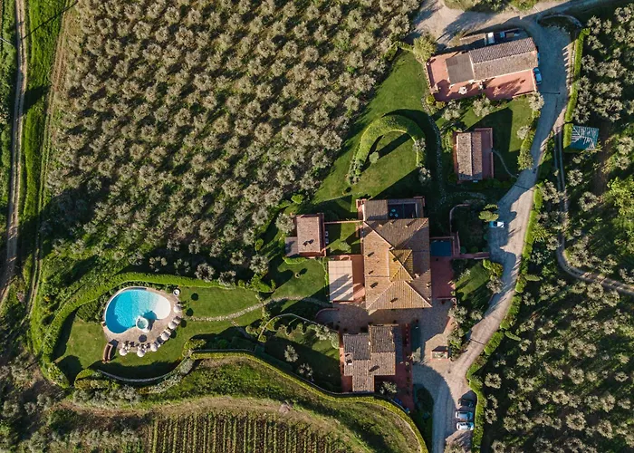Sole Del Chianti