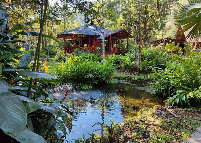 Mindo Garden Lodge And Wildlife Reserve