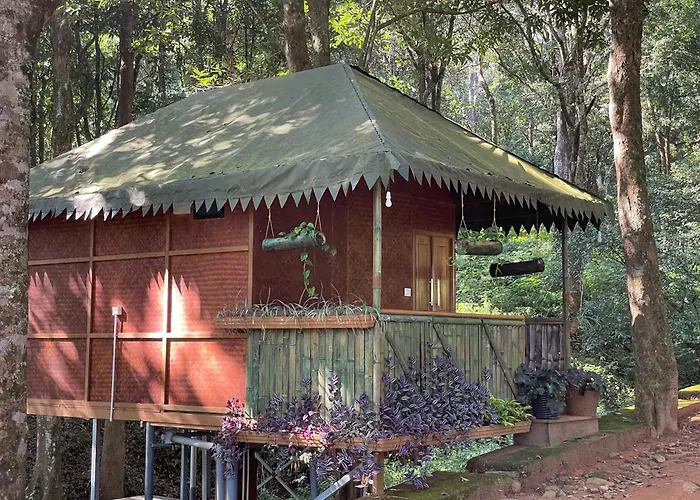 900 Woods Wayanad Eco Resort - A Sprawling Jungle Stay Near Glass Bridge