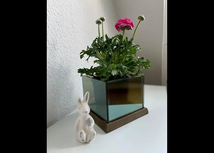 Neu Ferienwohnung Walsrode