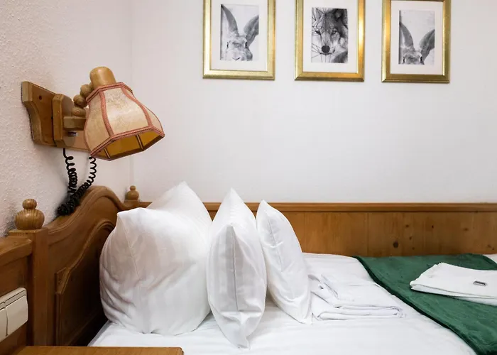 Hotel Zum See, Titisee
