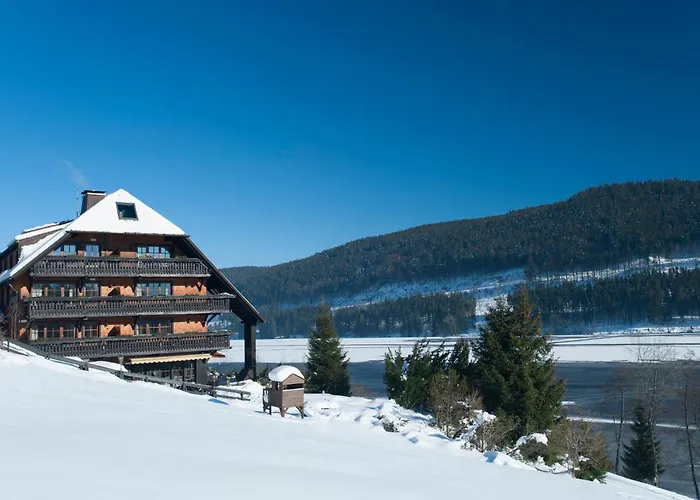 Alemannenhof - Boutique Hotel Am Titisee