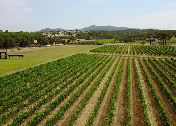 La Bastide Du Clos Des Roses - Teritoria