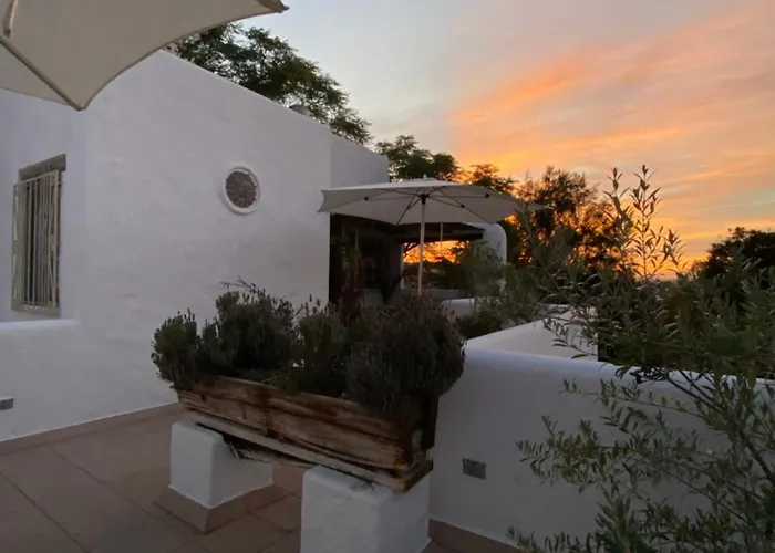 Casa Arbol Hotel