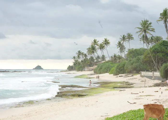 Surf Orchid Villa