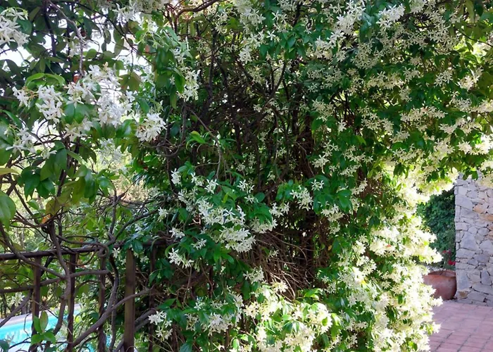 Les Jardins D'Isa