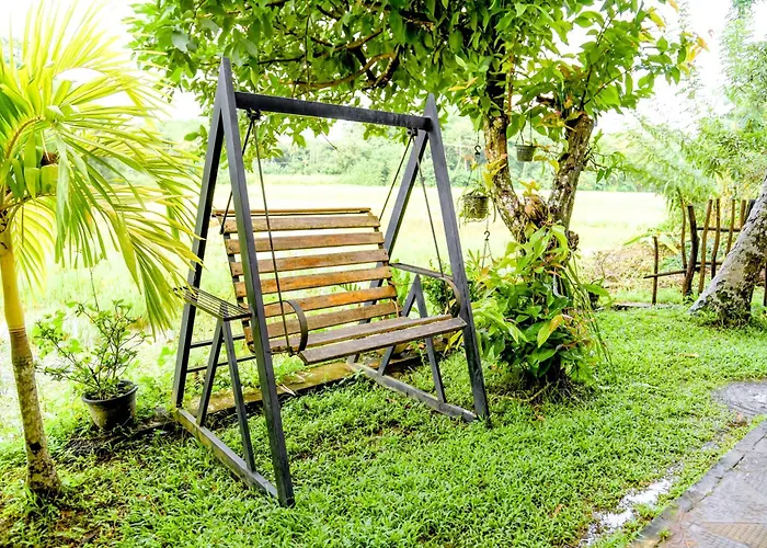 Paddy Field View Resort