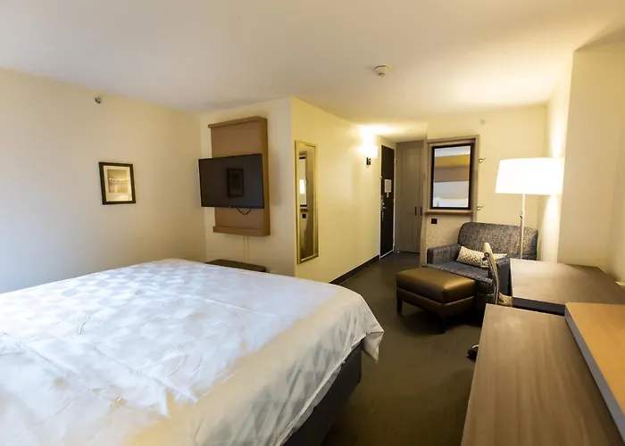 Holiday Inn Toronto Downtown Centre By Ihg