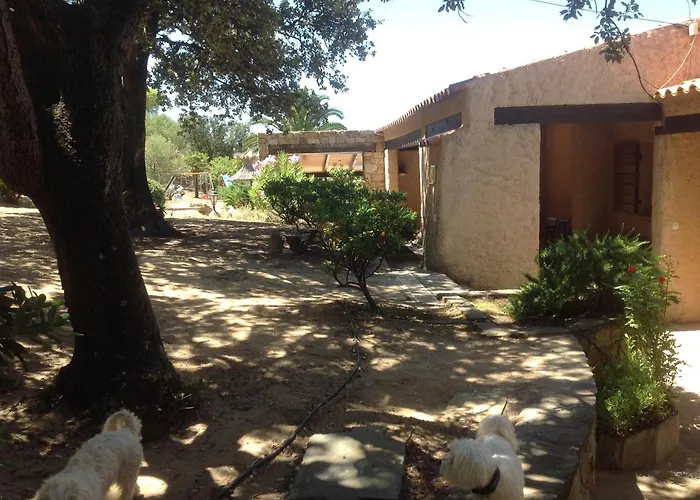 Villa A Scopa A Lumio En Corse Avec Piscine Chauffee, Vue Mer Panoramique, Climatisation, Jardin Arbore De 3000M2, 10 Pers, 5 Chb, 4 Sdb