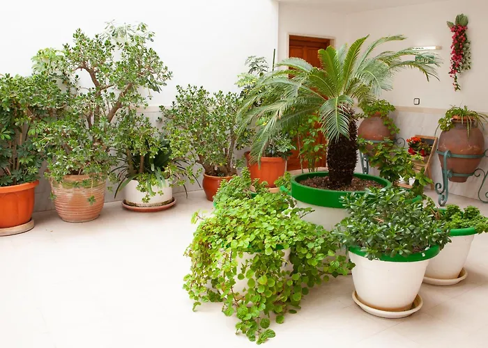 Atalaya Bosque Apartamentos