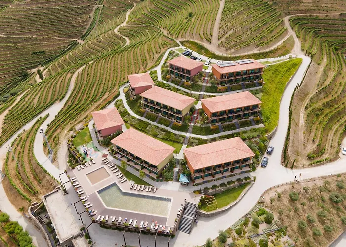 Vila Gale Douro Vineyards