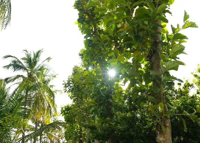 Gandhada Goodu Retreat