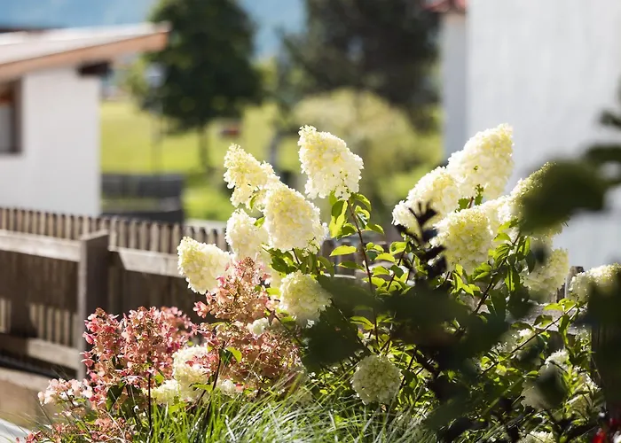Haus Kristall Inkl Der Super Sommer Card Im Sommer 2026