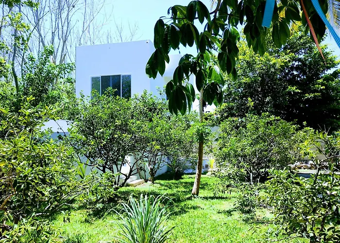 Hotel Y Museo Aldea Maya Toktli Origenes - Casa Maya Toh - Alberca, Wifi Starlink, Tour Museo
