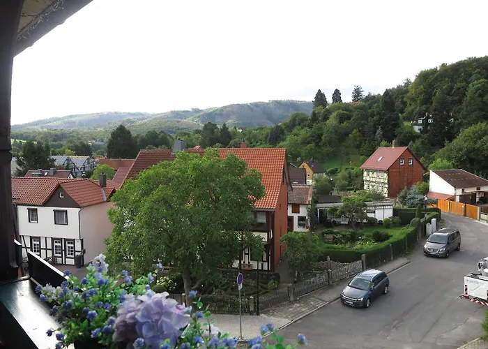 Fewo In Ilsenburg Waldblick, Schoene Aussicht