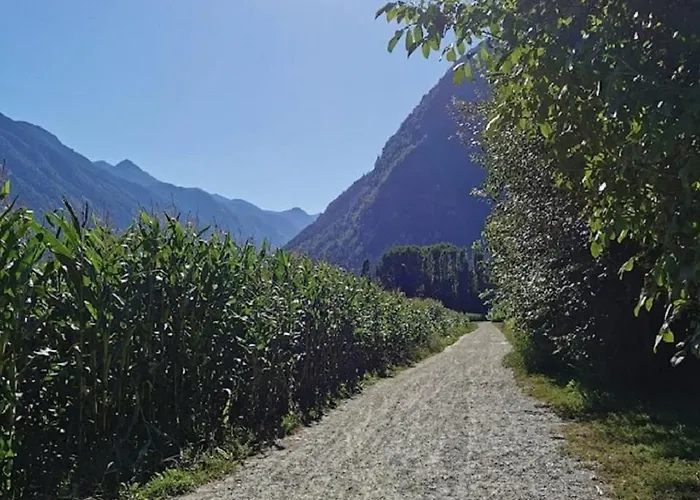 Apartments Steger Sand In Taufers Campo Tures