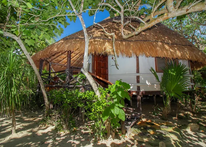 Blue Holbox