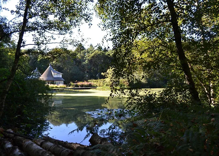 De Specht