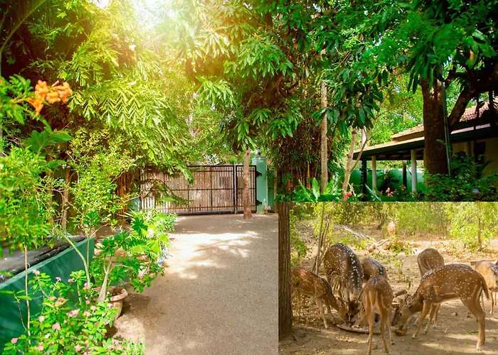 Nehansa Resort And Safari