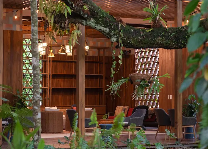 Botanika Osa Peninsula, Curio Collection By Hilton