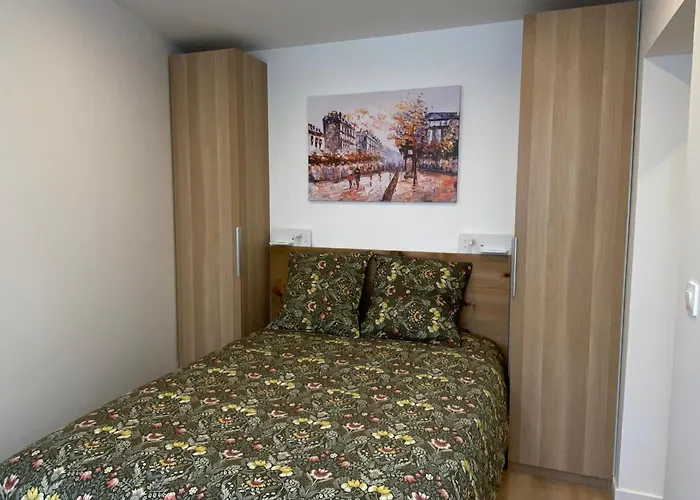 Marche De Noel - Studio 24M2 Climatise-Parking Prive - Lycee Roosevelt - Arena - Gare
