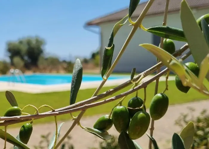 Accogliente Villa Con Piscina