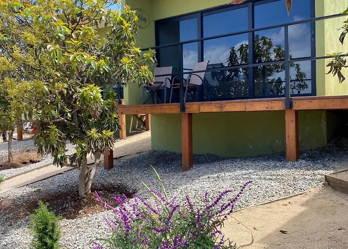 Palta 60 Valle De Guadalupe