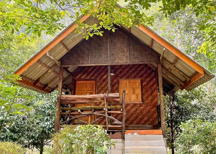 Khao Sok Green Mountain View