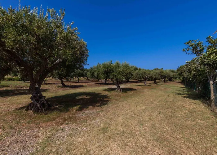 Appartamenti Torre