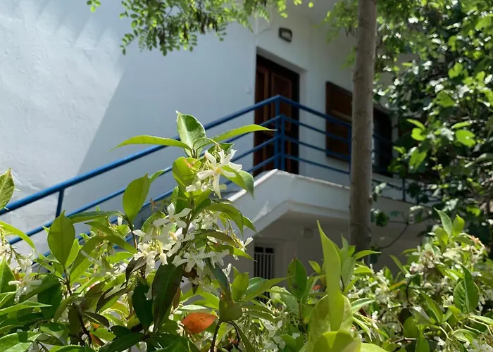 Blue Maison