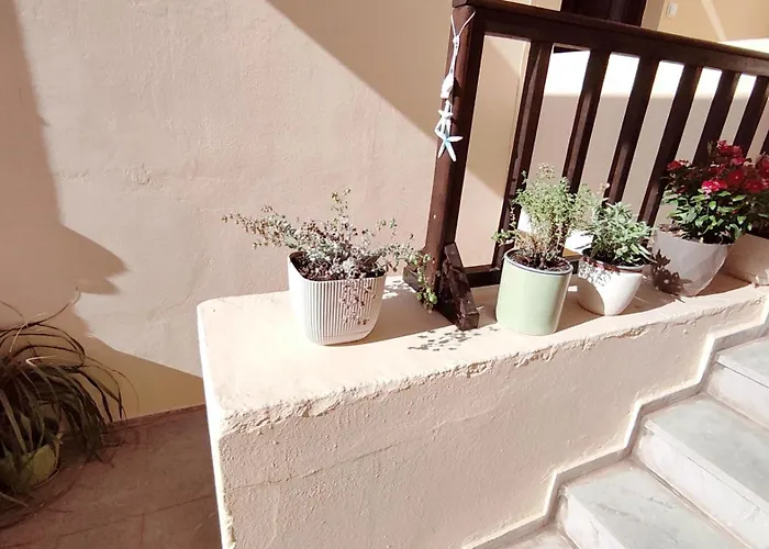 Dedalos N2 Mountain View Apartment-30 Metres From The Beach