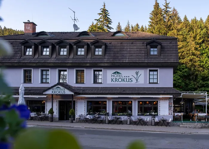 Hotel Krokus