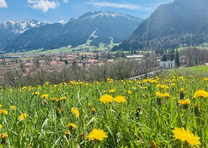 Ferienhaus Sommer