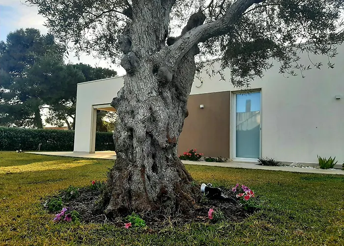 Il Giardino Dei Coralli