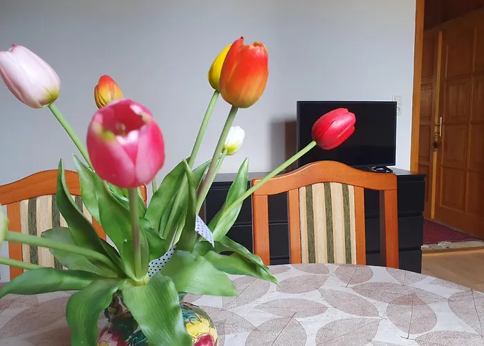 Feher Rozsa Apartman