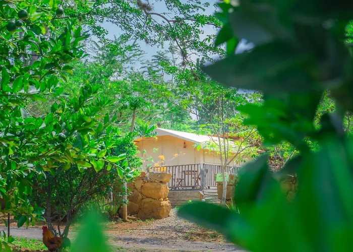 Hotel Hacienda Macedonia