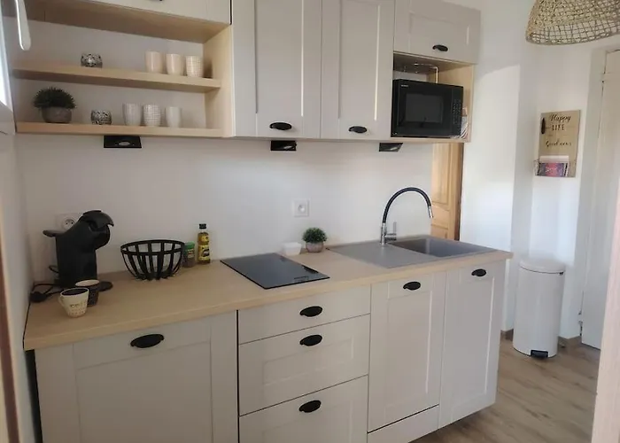 Domaine Des Petites Soeurs A 800M Du Centre Historique Avec 5200M2 De Parc Arbore