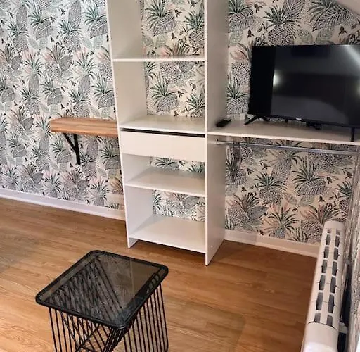 Studio Duplex Hypercentre Au Calme Avec Parking