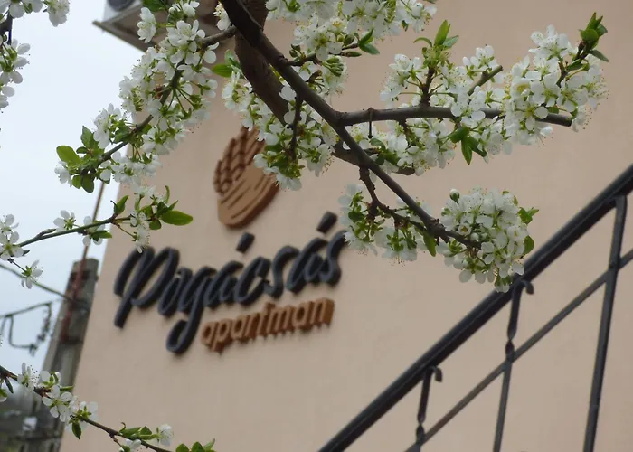 Pogacsas Apartman