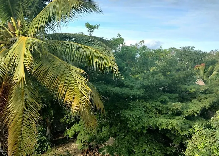 Hotel Y Museo Aldea Maya Toktli Origenes - Casa Maya Melipona - Alberca, Wifi Starlink, Tour Museo