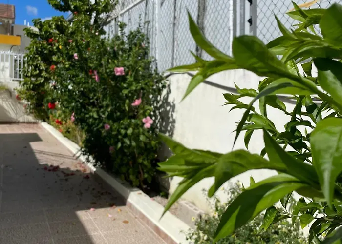 Maria'S Entire House Higuey 2Bd