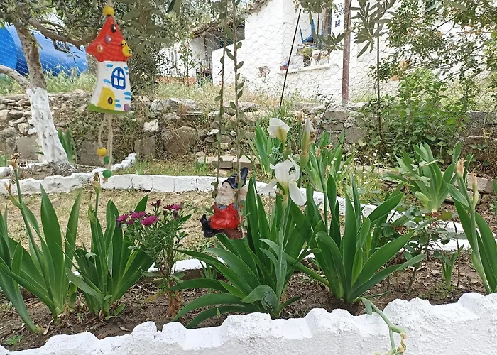 Lotus House