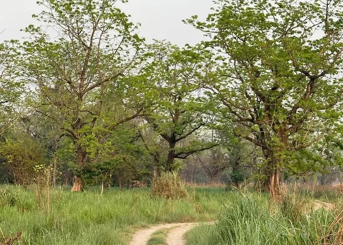 Sauraha Holiday Home Riverside By Managed Hotel Surya Adventure