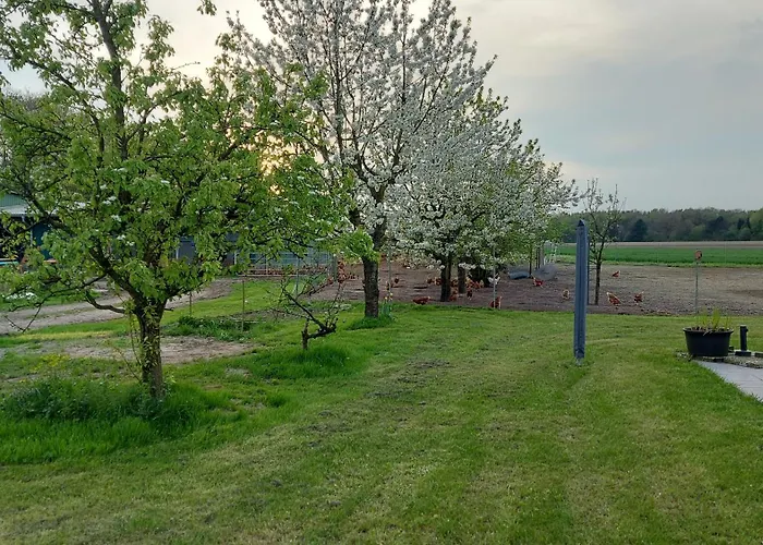 Huehnerhof-Roehrs