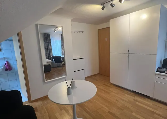 Einzelzimmer Mit Privatem Bad Naehe Ulmer Donautal - Ideal Fuer Geschaeftsreisen