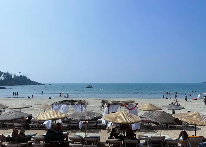 Art Resort Goa